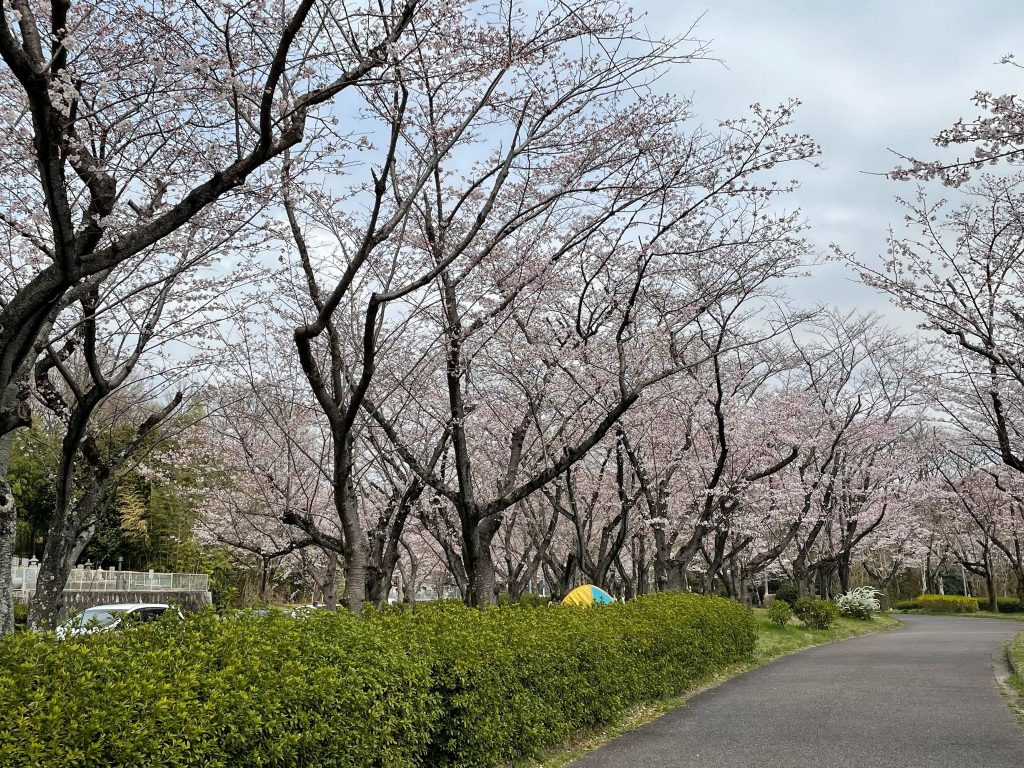 脚のむずむず、それは病気かもしれません